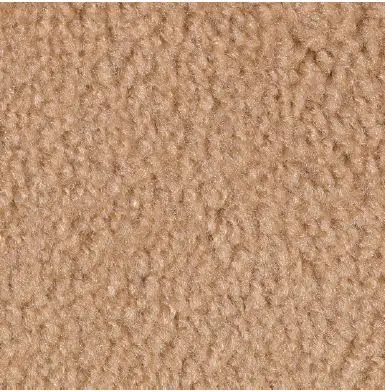 Beige Carpet Sample