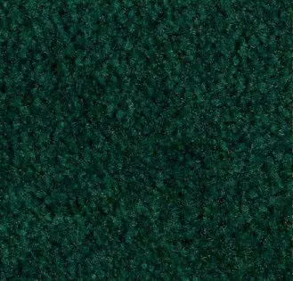 Emerald Carpet Sample