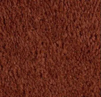 Ginger Carpet Sample
