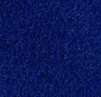 Royal Blue Carpet Sample