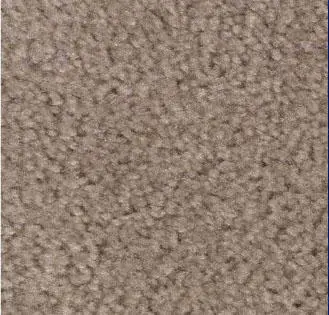 Taupe Carpet Sample